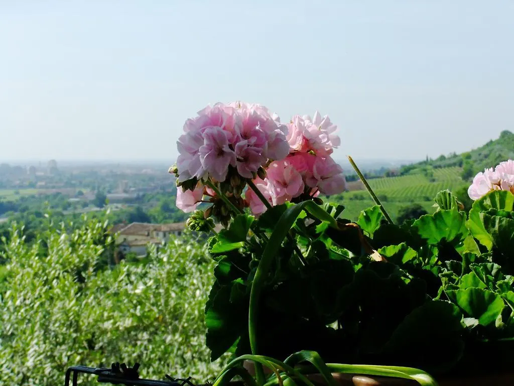 B&B Ca Novecento Verona